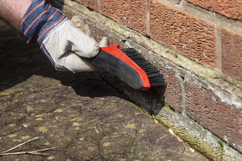 masonry_cleaning